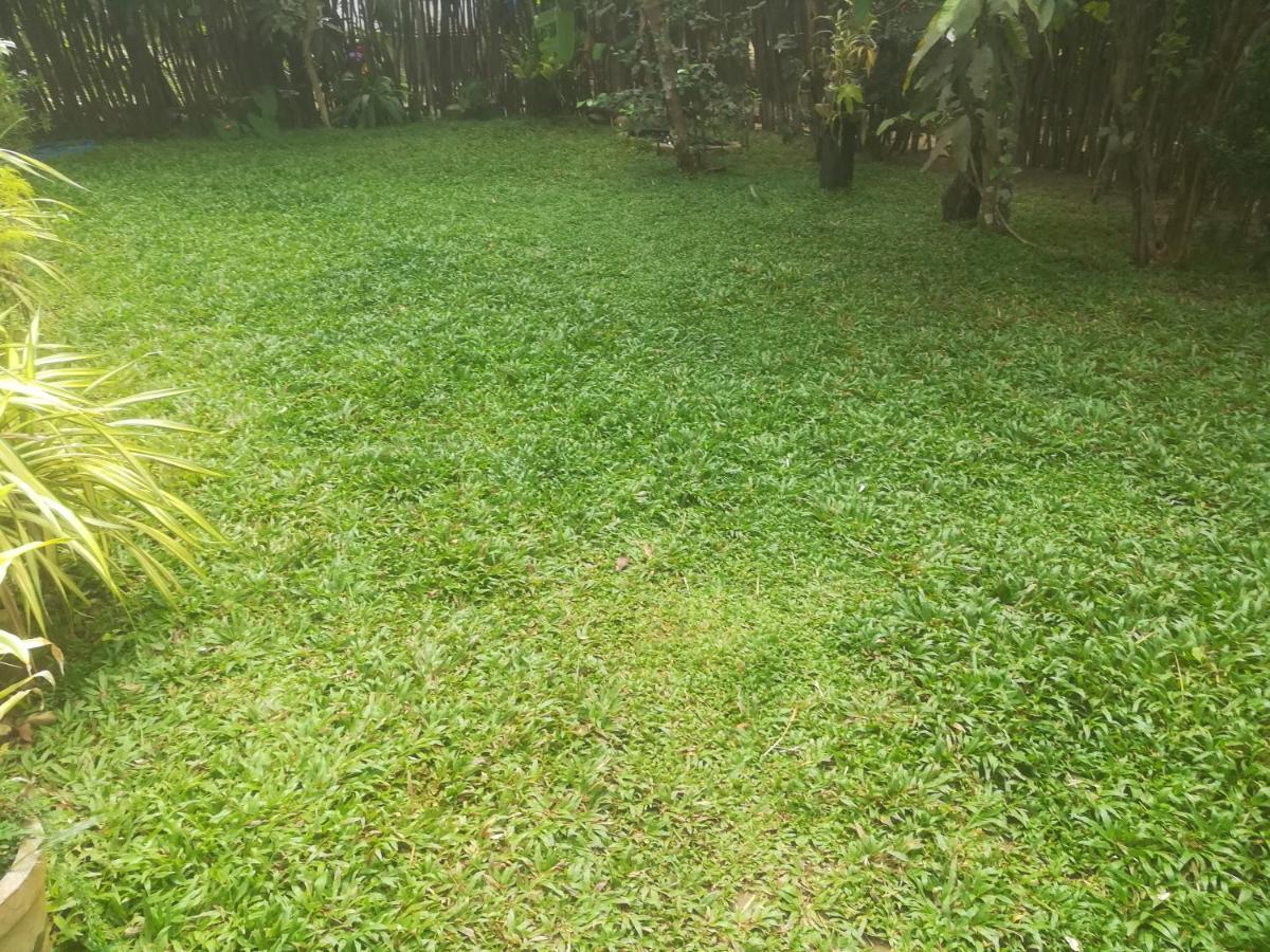 Bamboo Home Stay Hiriketiya Dikwella Exteriér fotografie