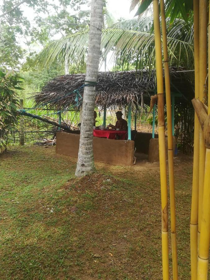 Bamboo Home Stay Hiriketiya Dikwella Exteriér fotografie