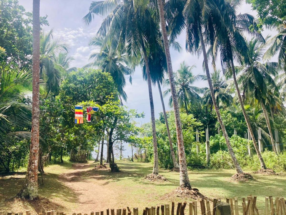 Bamboo Home Stay Hiriketiya Dikwella Exteriér fotografie