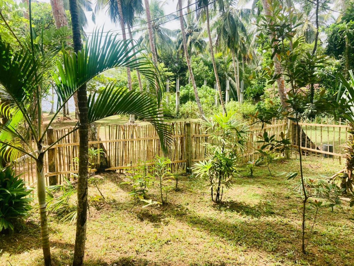 Bamboo Home Stay Hiriketiya Dikwella Exteriér fotografie